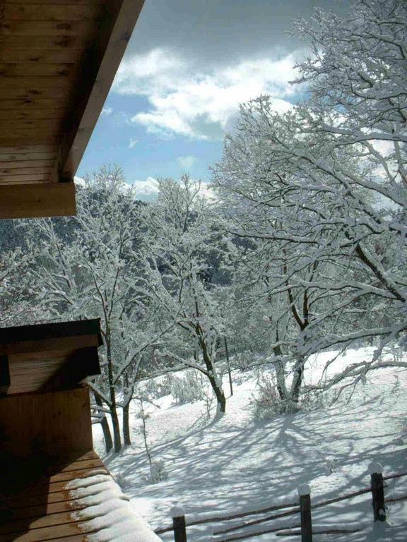 Hotel Rural Las Rozuelas セルセディリャ 部屋 写真